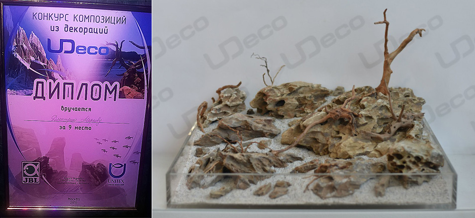 udeco2015